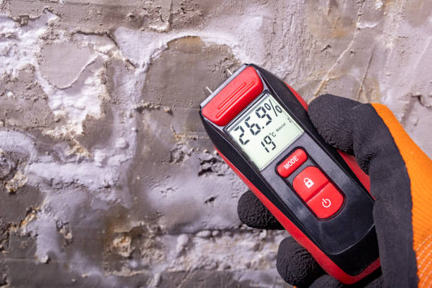 Best Mold Testing  in Franklin Park, IL