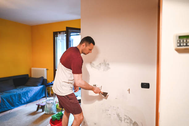 Best Water Damage Restoration  in Franklin Park, IL